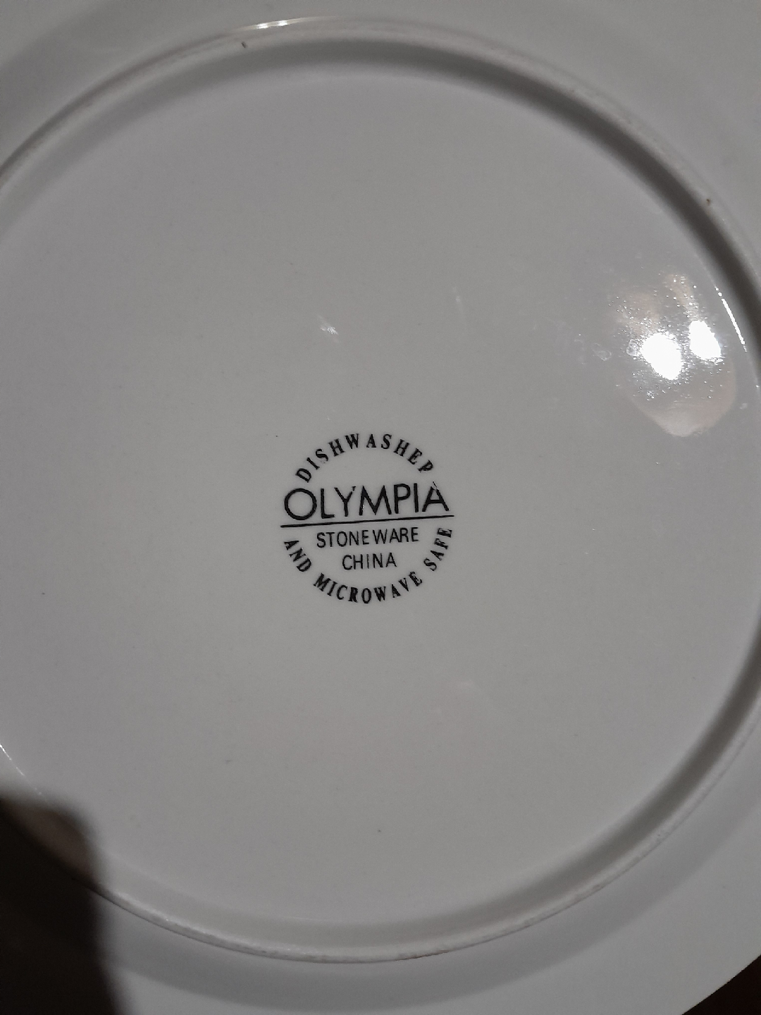 Olympia Stoneware China Plate Set - photo 3