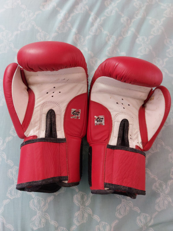 STING Armalite Boxing Gloves - Red - photo 3
