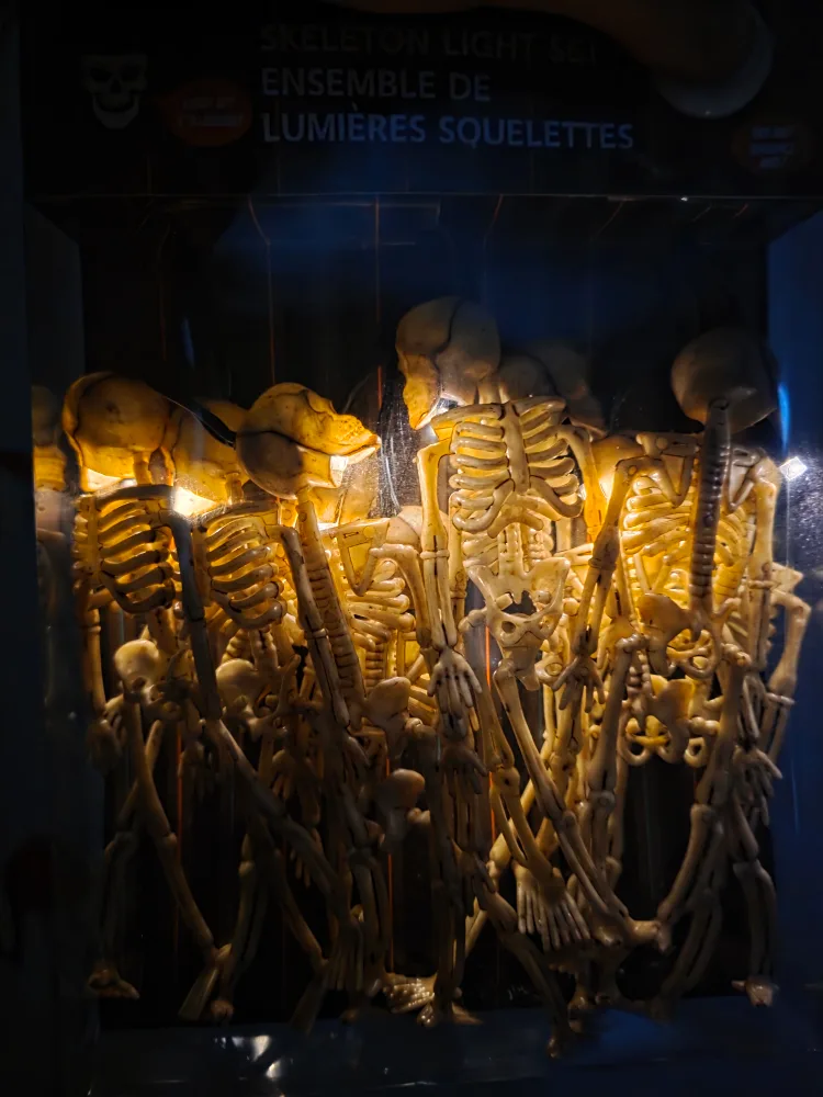 Skeleton Light Set - Halloween Decor image indicator(2)