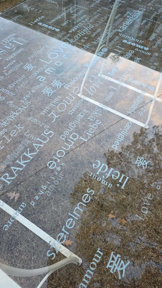 Glass Top Table with White Metal Legs image indicator(5)