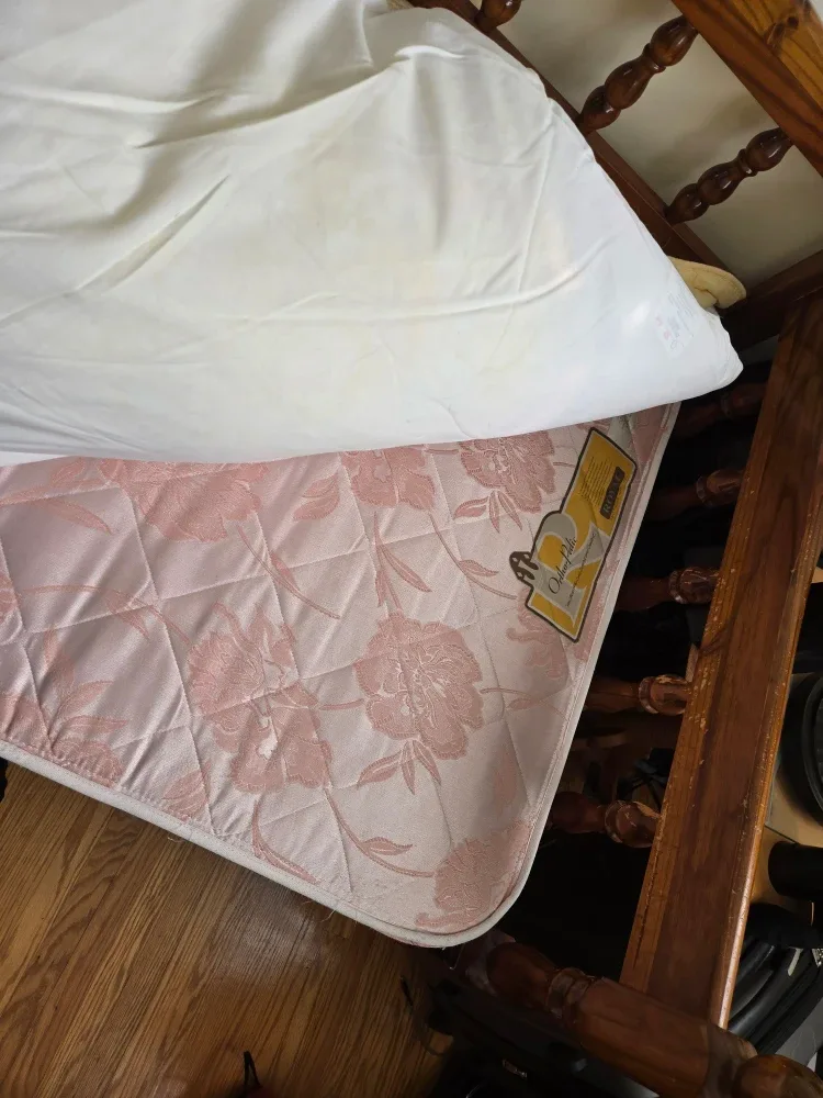 Wooden Daybed with Mattress image indicator(5)