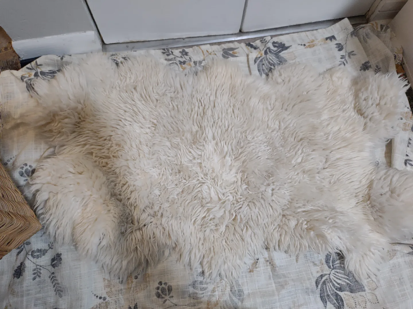 IKEA Cat rattan house with Sheepskin rug image indicator(8)