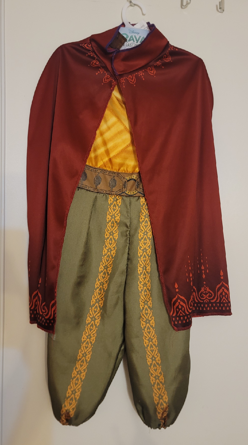 Raya Halloween Costume