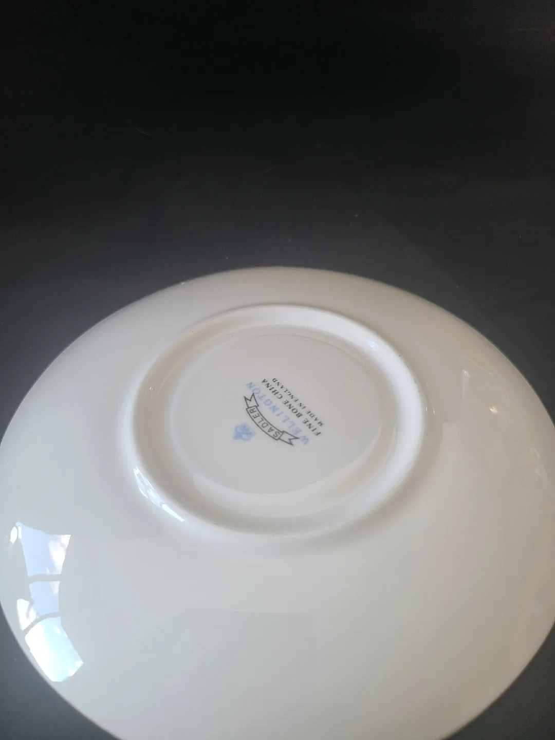 Sadler Wellington Fine Bone China Tea Cup & Saucer image indicator(3)