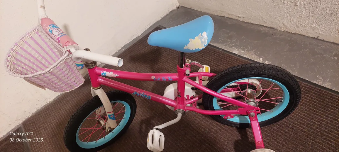 Avigo Pink & Blue Kids Bike image indicator(2)