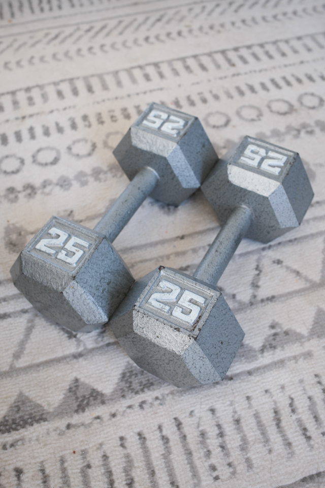 Pair of 25 lb Dumbbells