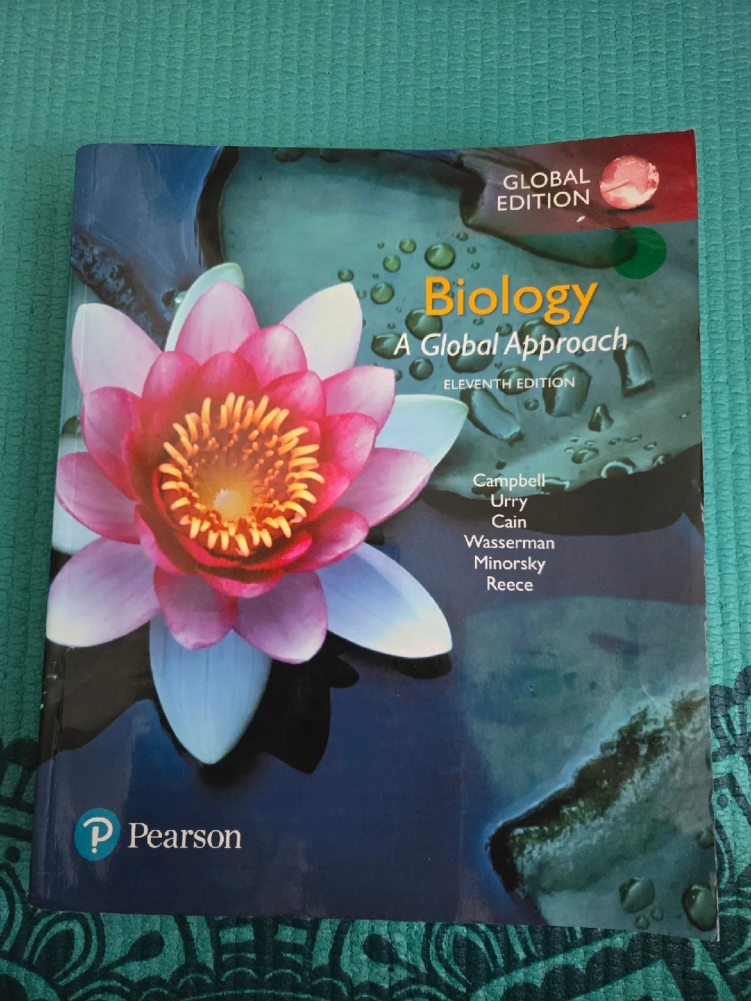 Biology: A Global Approach, 11th Edition thumbnail