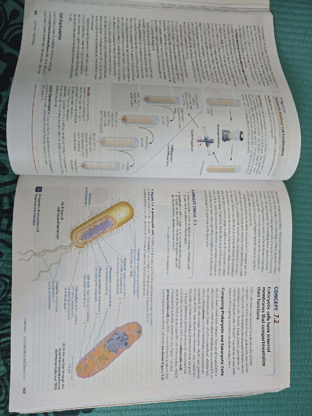 Biology: A Global Approach, 11th Edition - photo 2