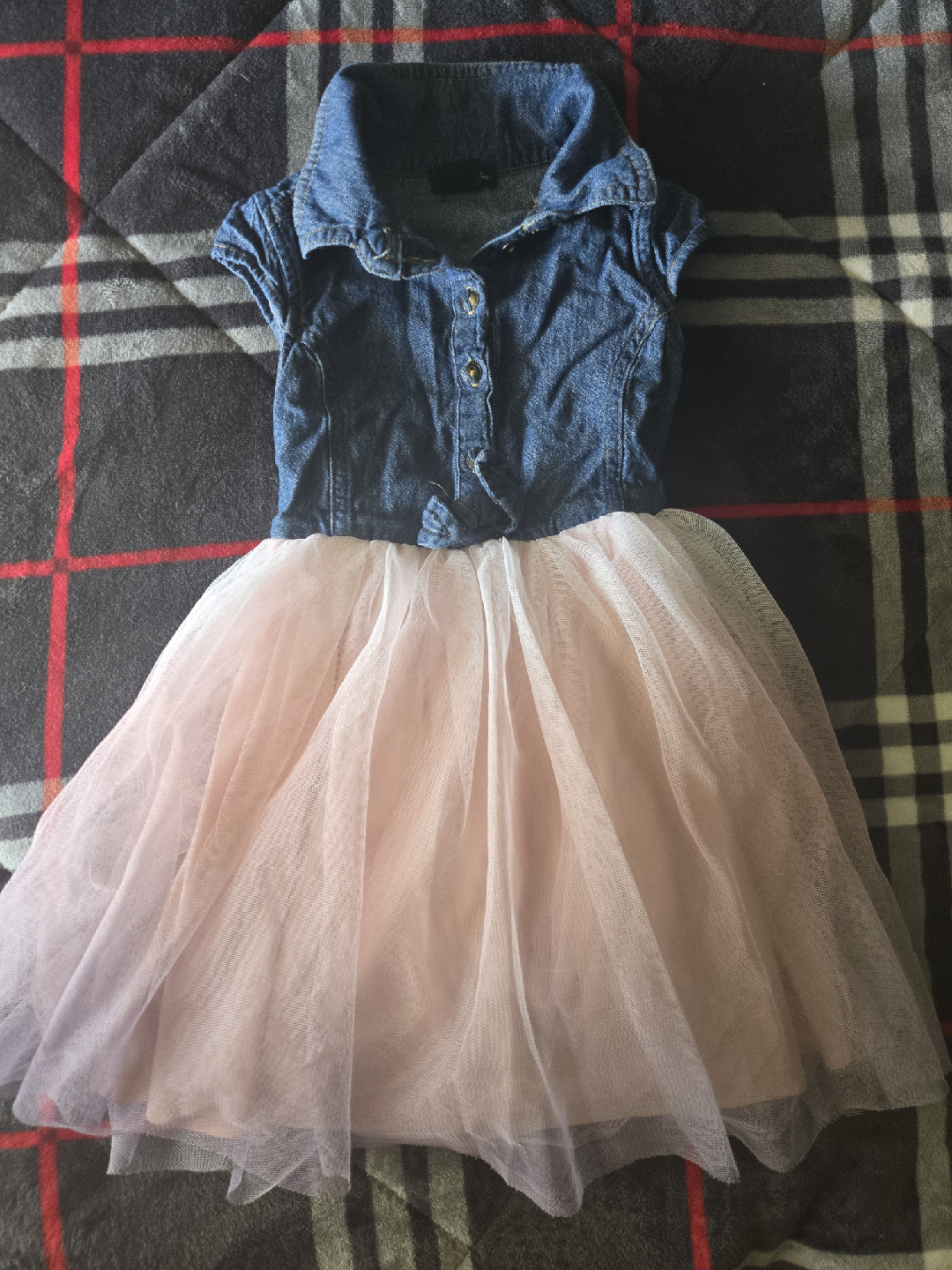 Denim Top & Pink Tulle Skirt Dress 4T