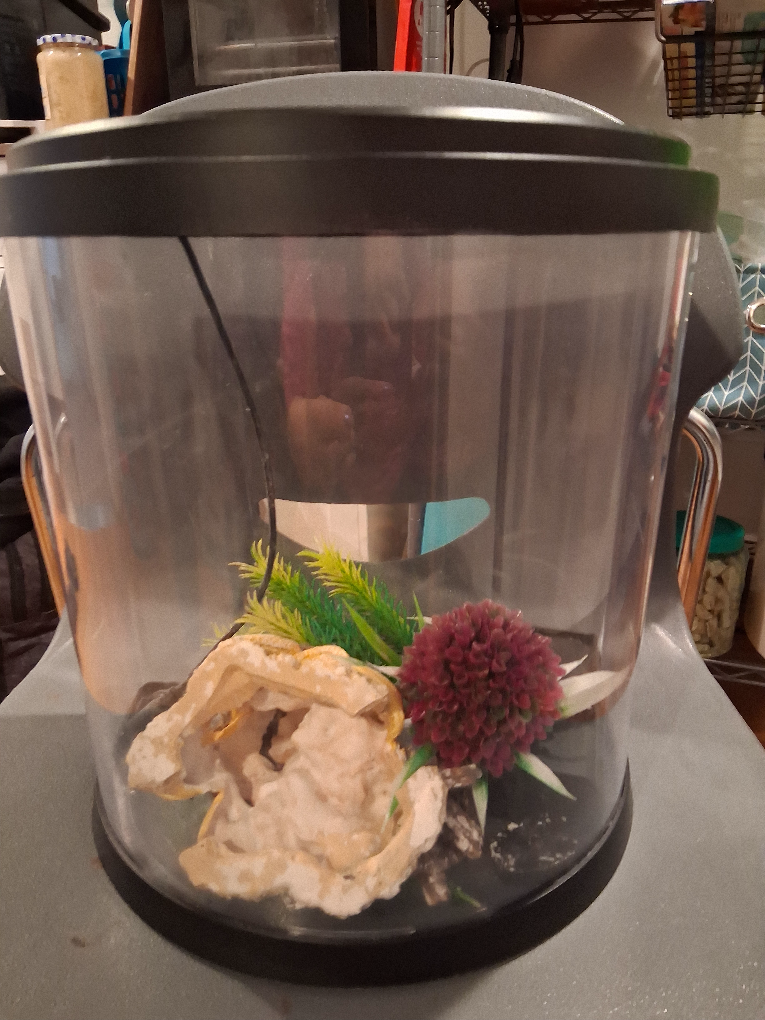 Fish or Turtle aquarium GC