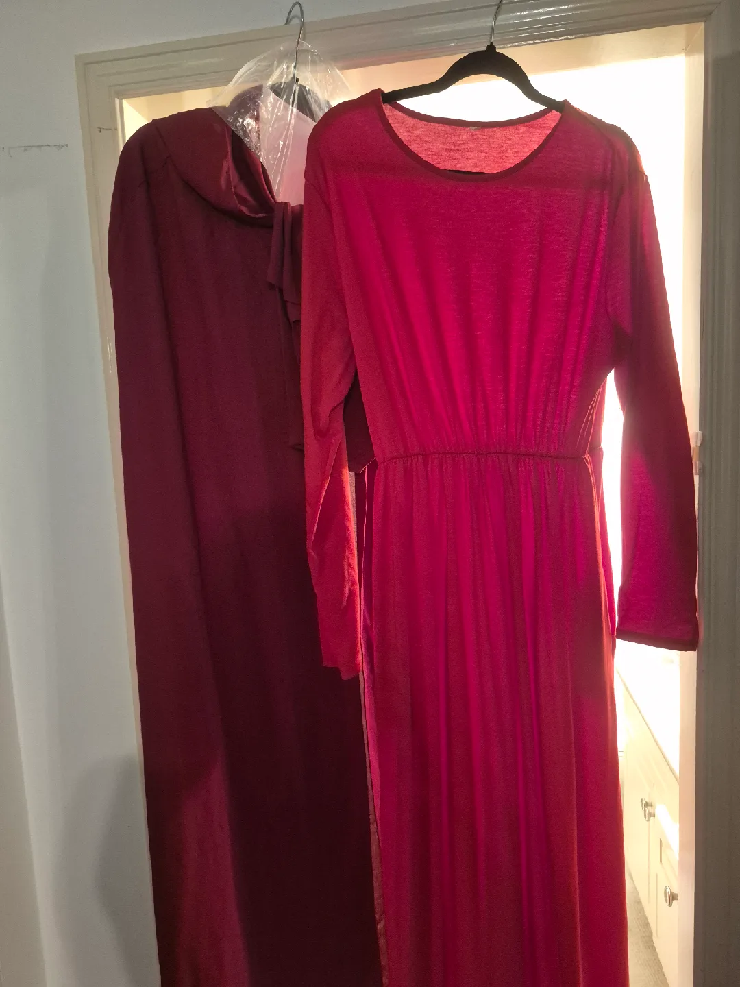 Handmaid's Tale (halloween) costume image indicator(7)