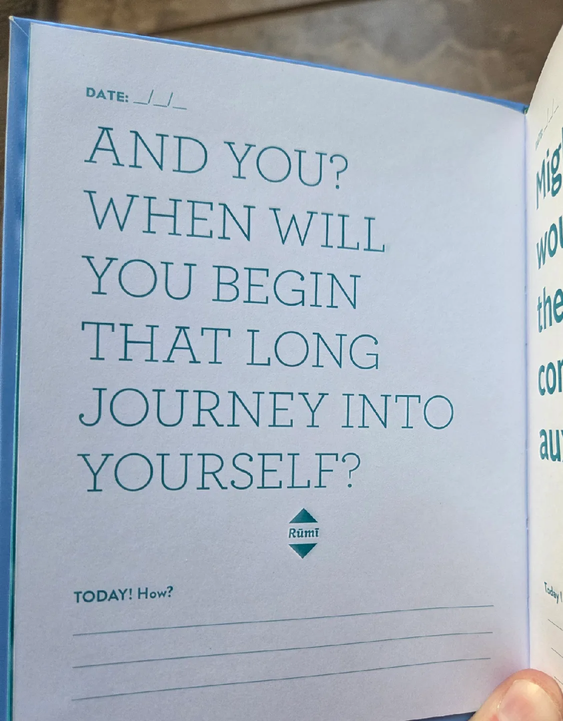 Mindfulness Journal - Do One Thing Every Day image indicator(2)