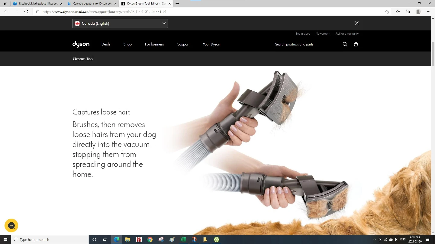 Dyson Pet groom Tool