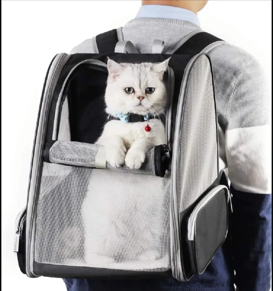Pet Carrier Backpack (new never used)
