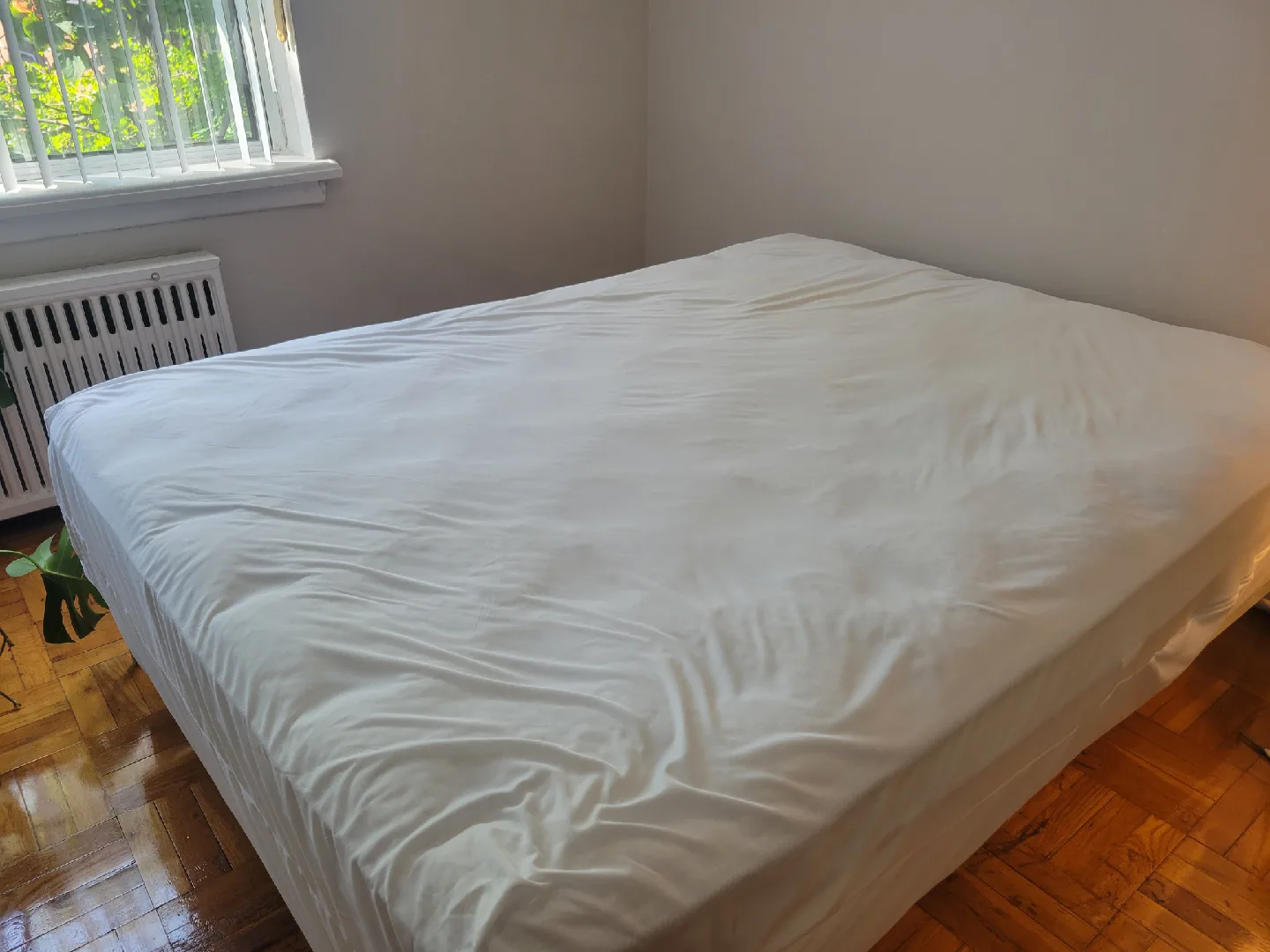 Free Queen Size Matress image indicator(3)
