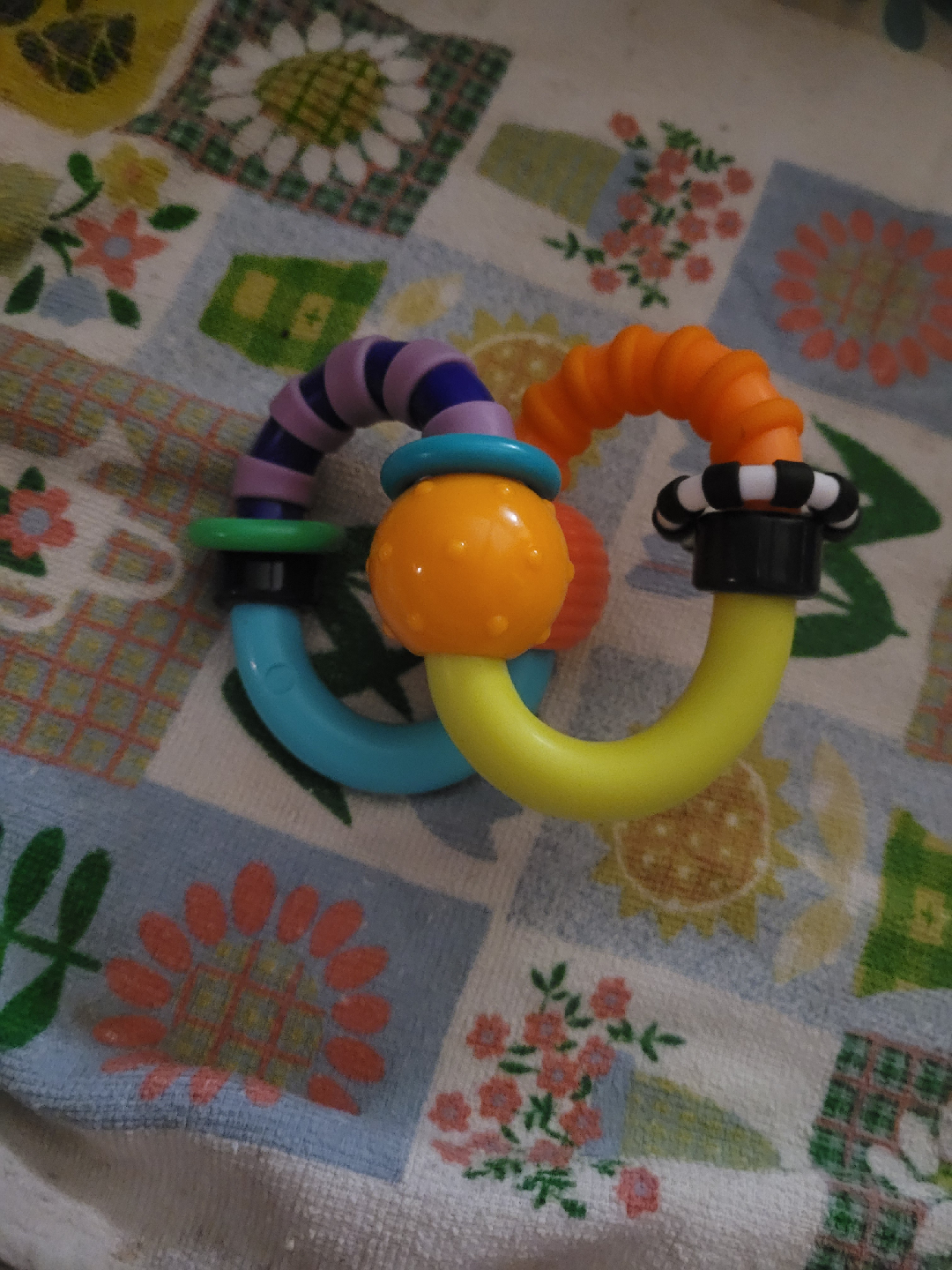 sassy baby toy
