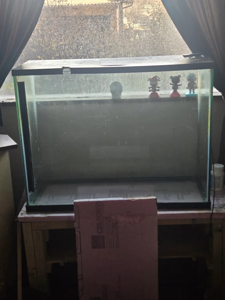 Fish Tank with Accessories image indicator(3)