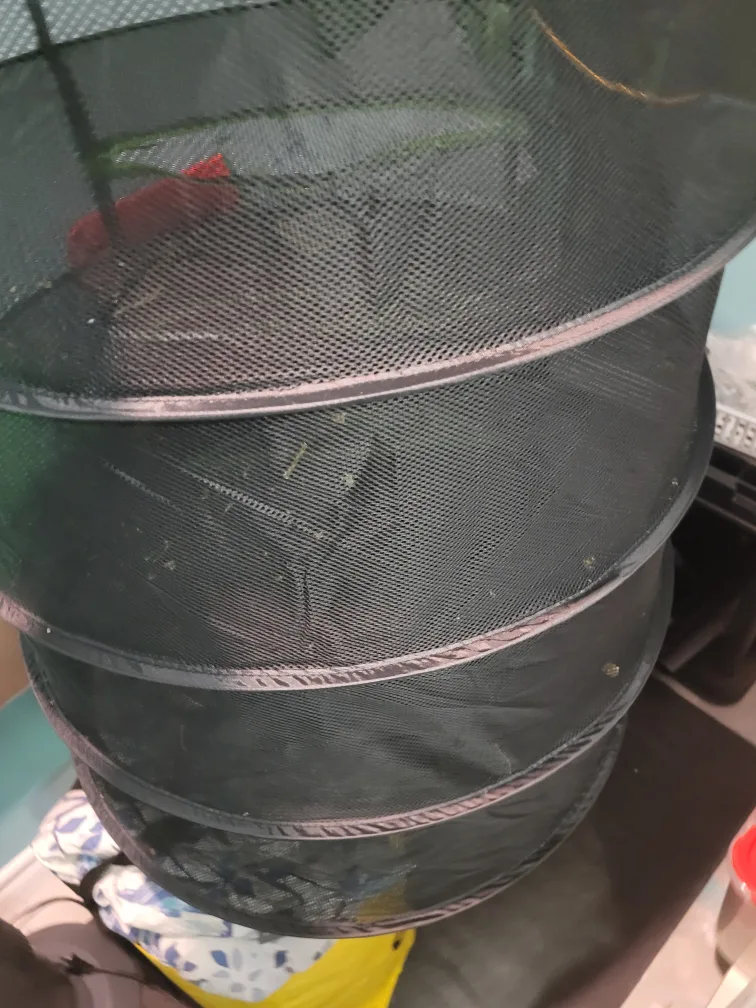 5x5 ft indoor grow tent with light/carbon filter image indicator(3)