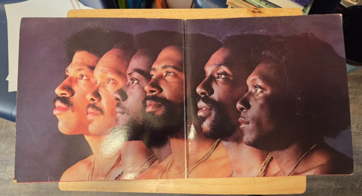 Commodores Heroes Vinyl Record image indicator(3)