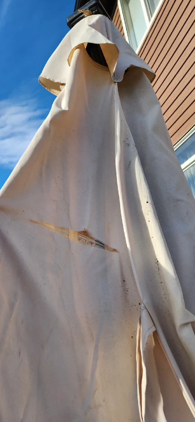 Patio Table with 6 Chairs & Umbrella image indicator(8)