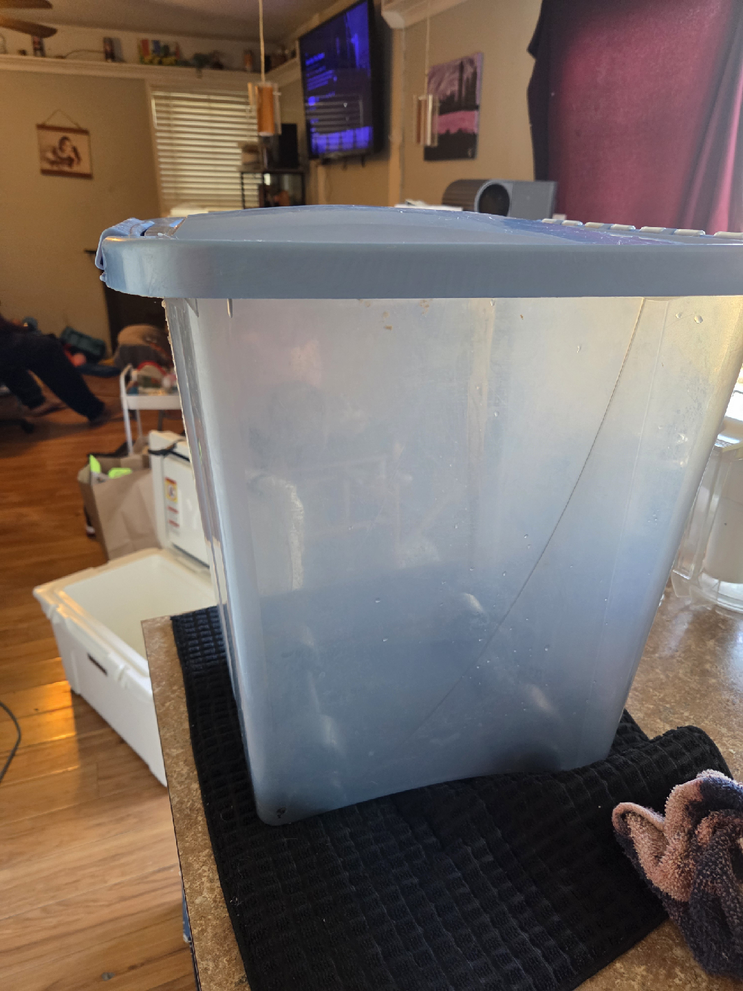 Bergan Smart Storage Container - photo 4