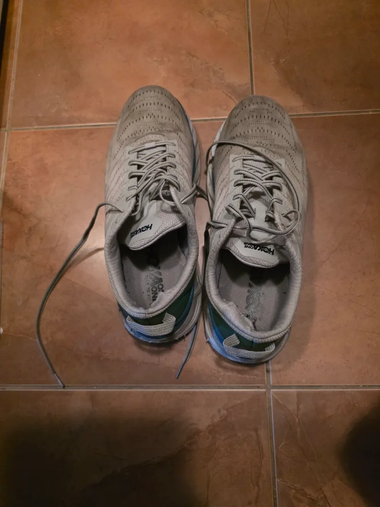 🥕 Free.   hoka one one Arahi 4