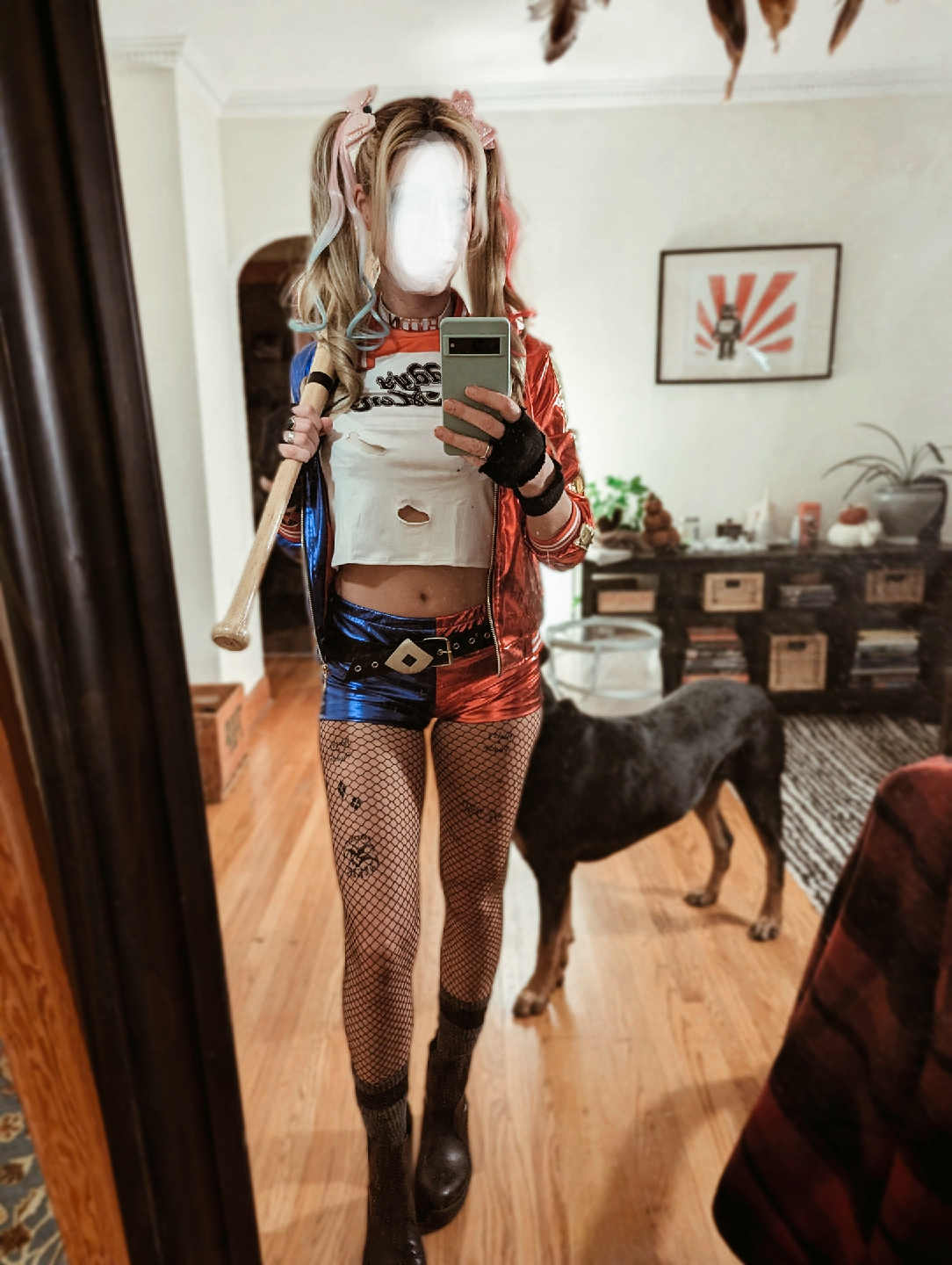 Harley Quinn Costume Set