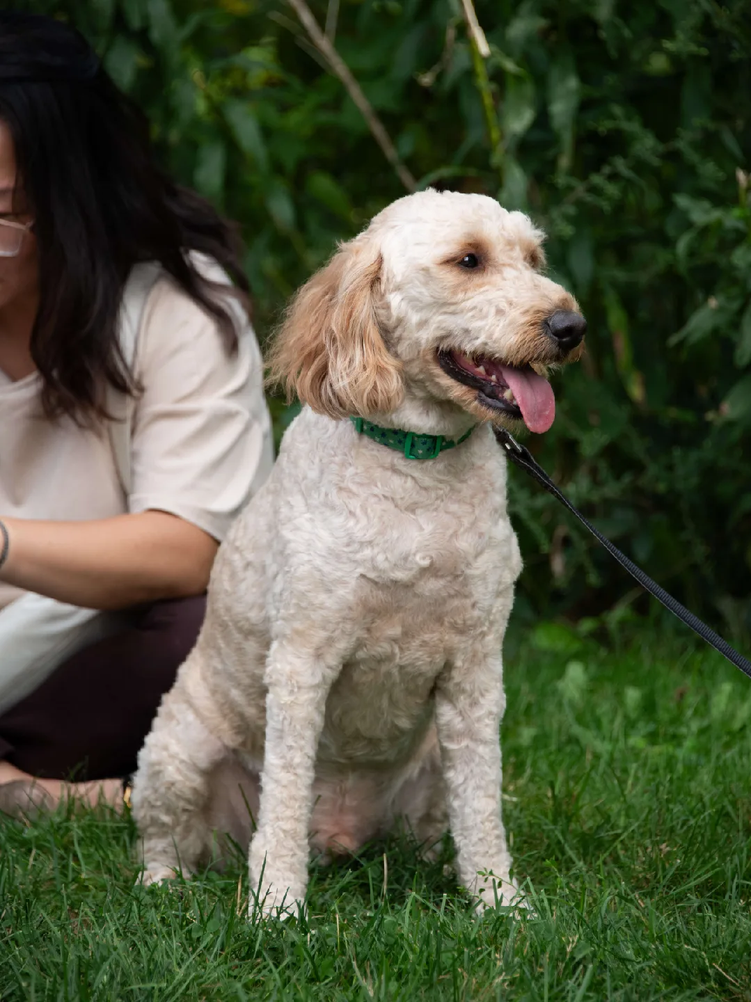 Nikon D850 DSLR Camera with Accessories image indicator(5)