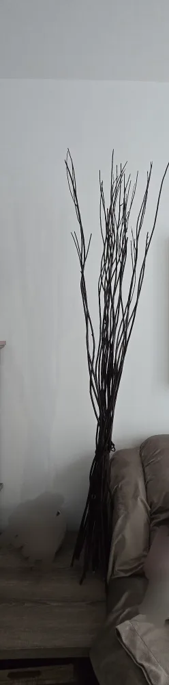 Decorative dark brown Branches for Home Decor thumbnail