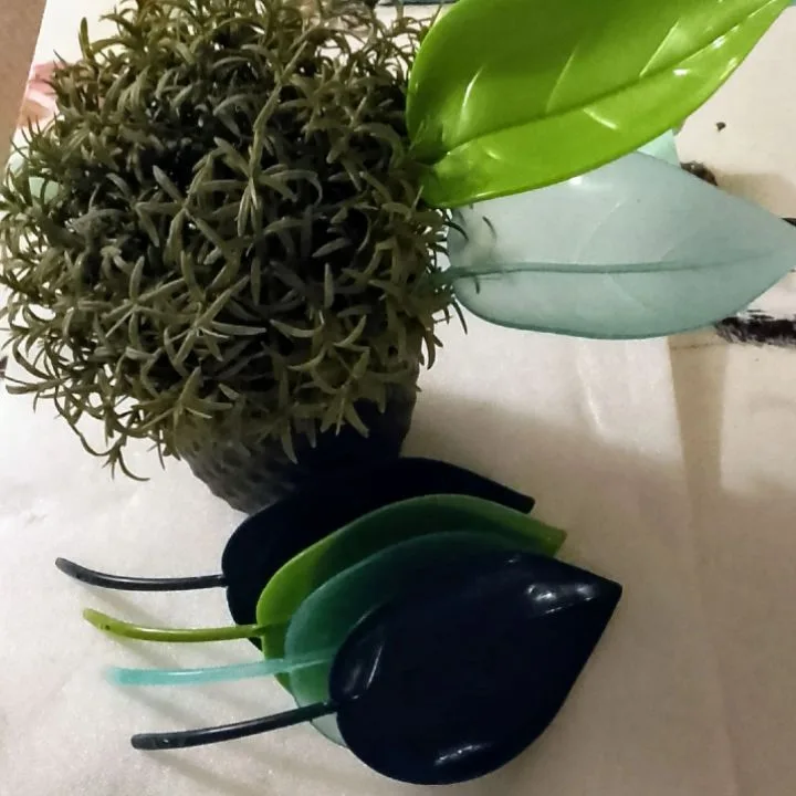 Plant watering Leaves