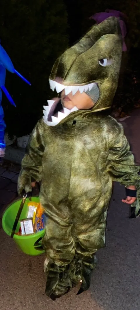 Dinosaur costume xs thumbnail