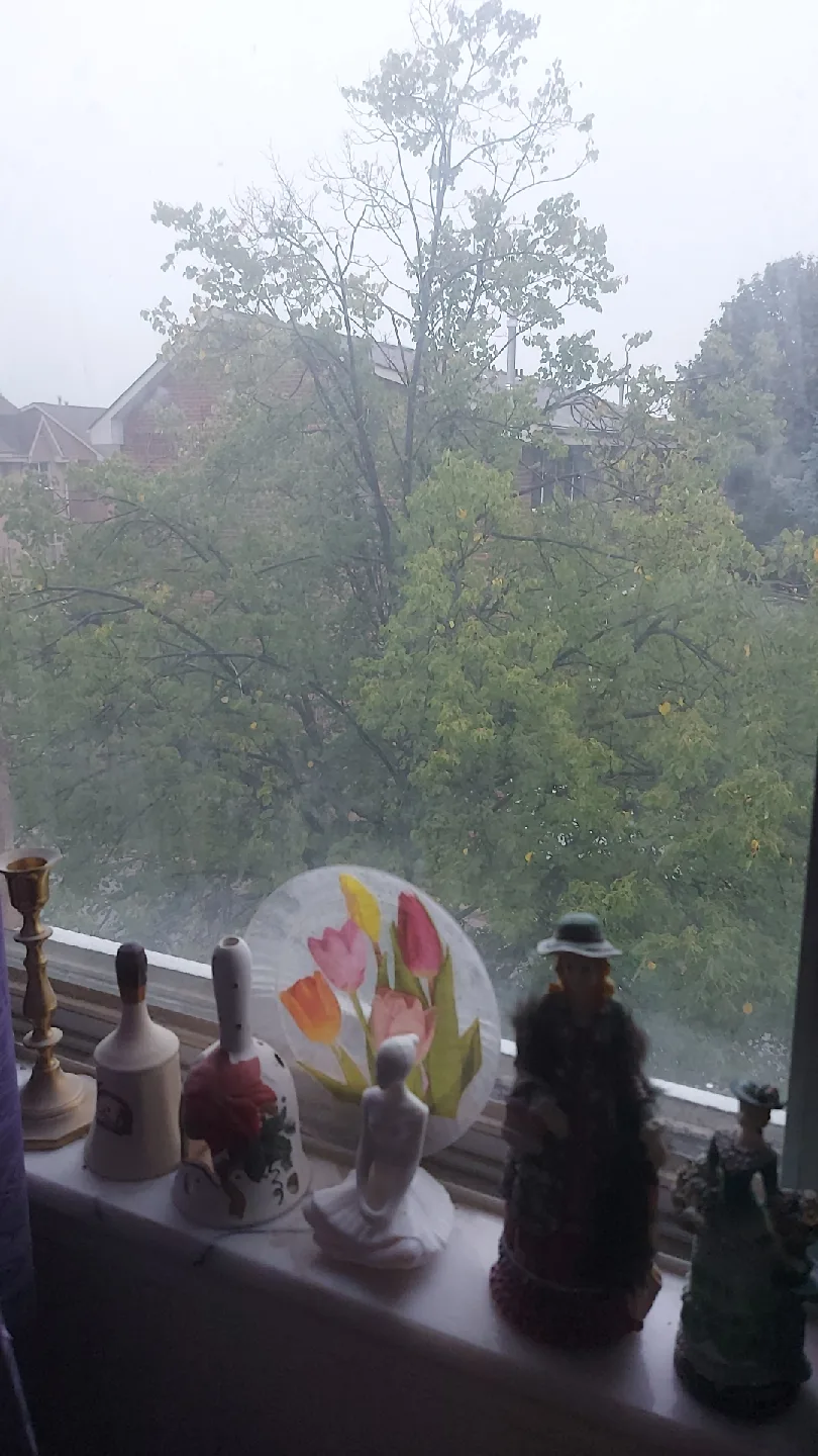 Various Wool & Ribbon Designs! image indicator(4)