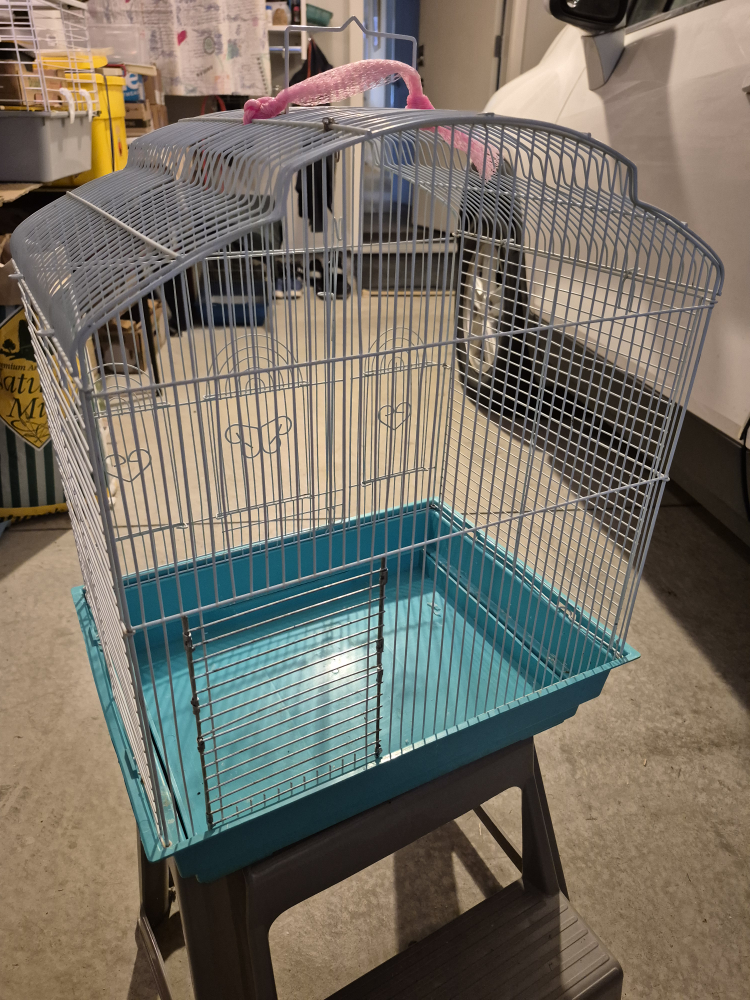 Bird Cage - White and Blue - photo 2
