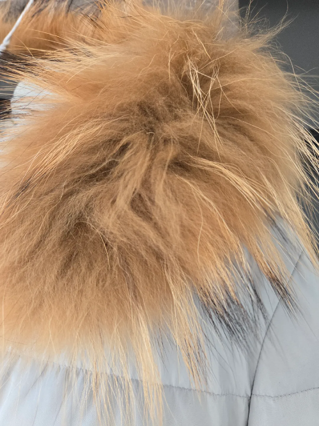 ADD Down Puffer Coat with Fur Hood - Light Grey image indicator(6)