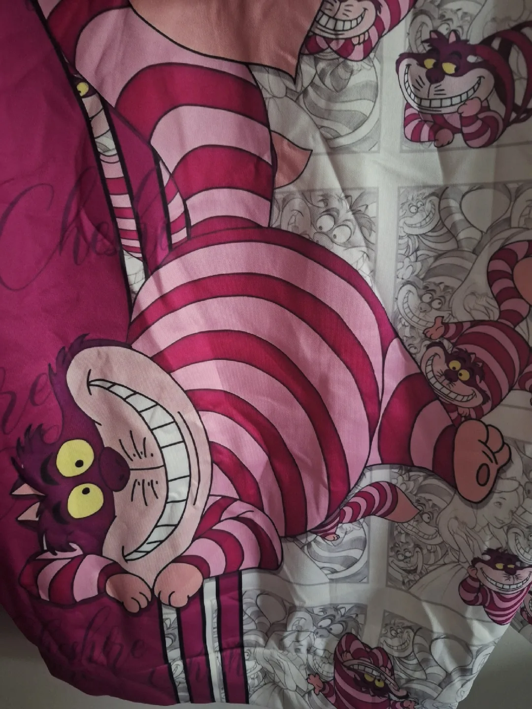 NEW Cheshire Cat Hoodie (XL) 💕 image indicator(3)