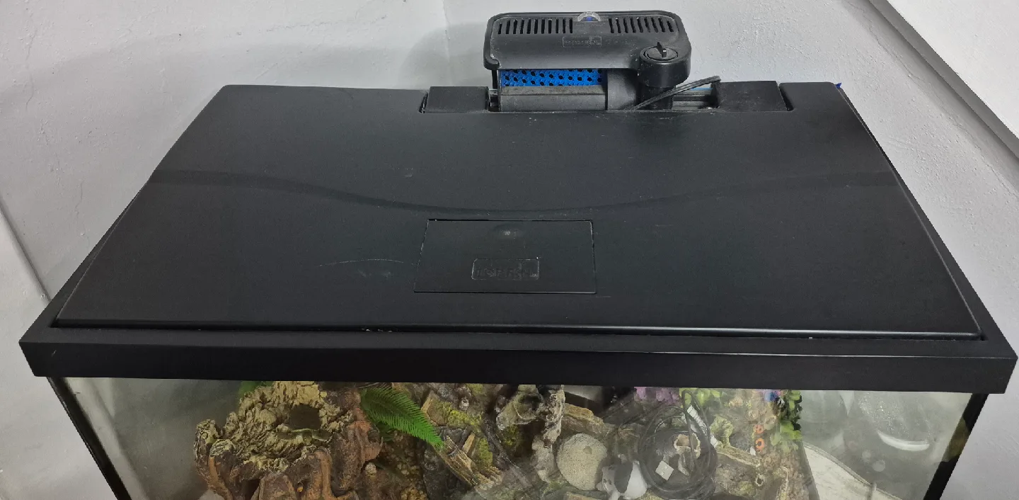 Fish Tank with Accessories image indicator(4)