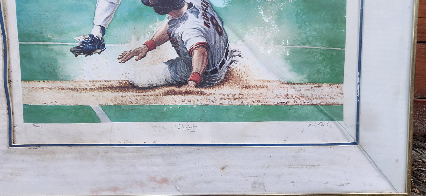 BLUEJAYS ARTWORK - photo 4