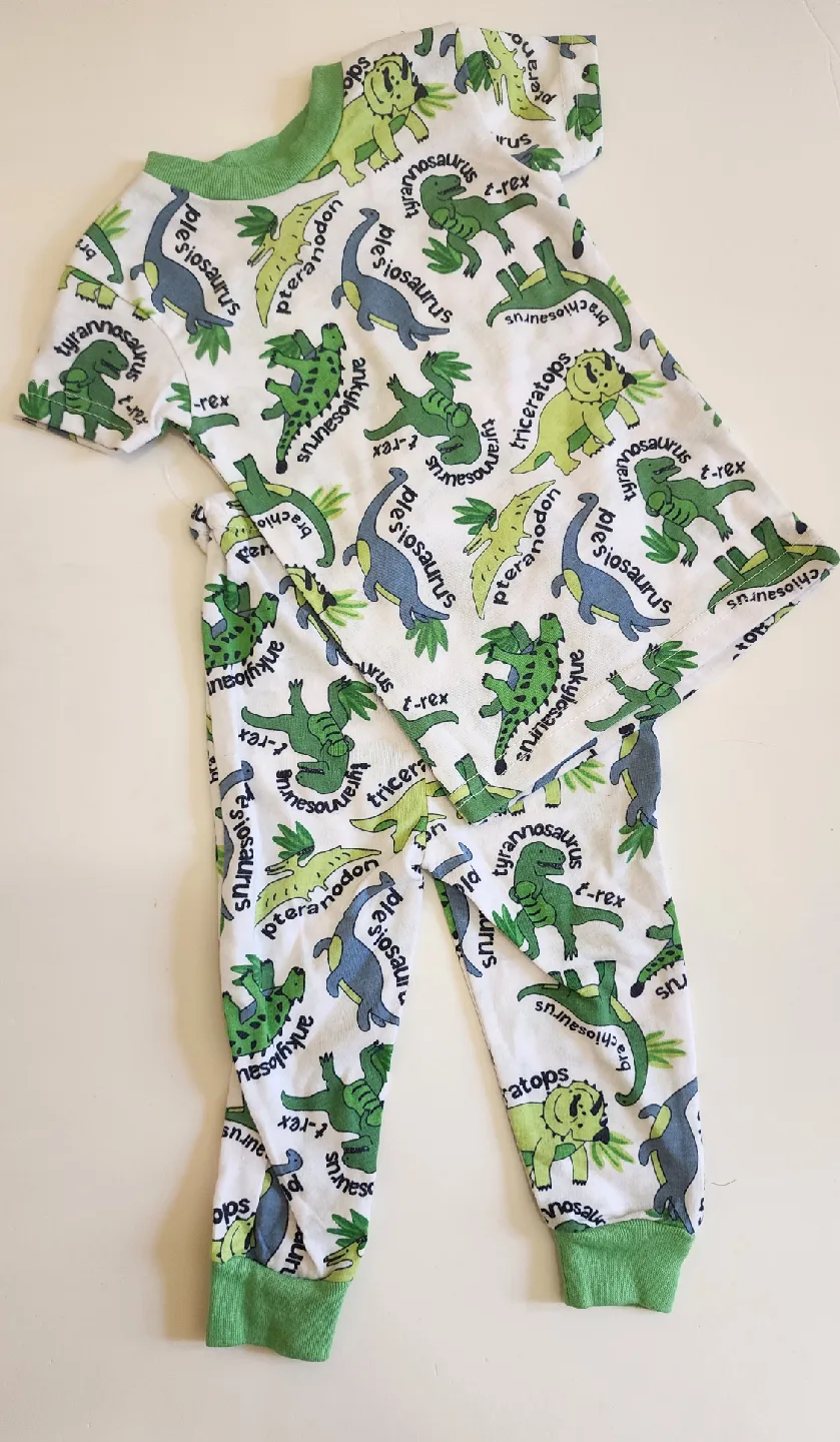 Dinosaur Pajama Set-18M image indicator(2)
