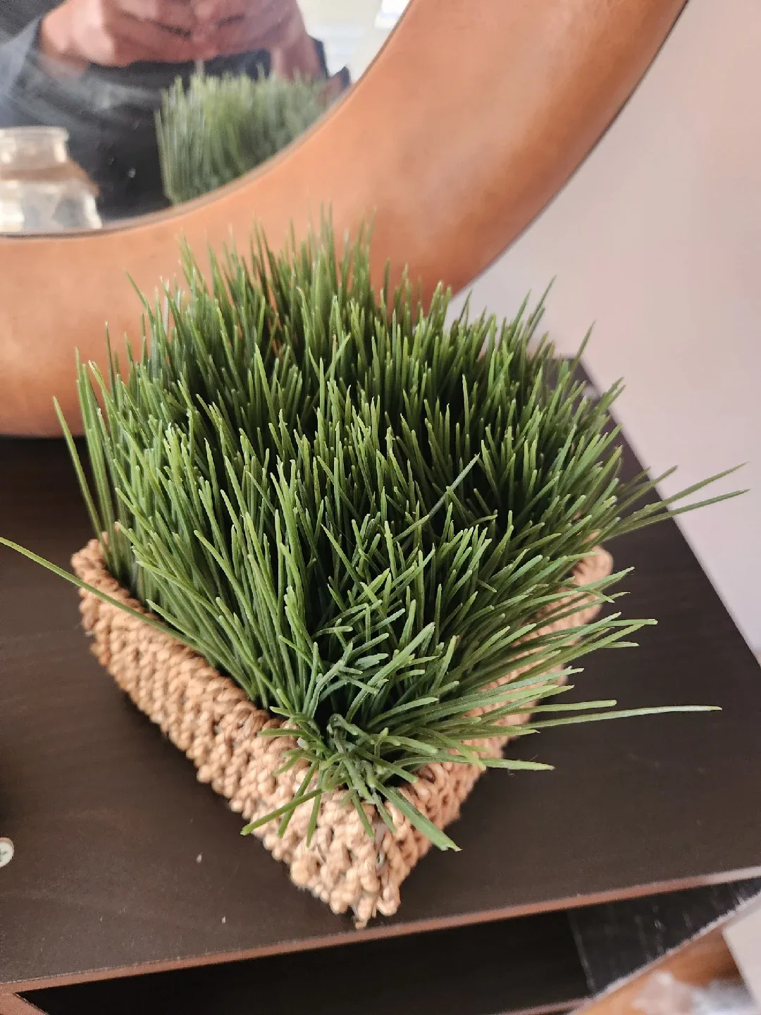 Faux Plants + Mirror image indicator(3)