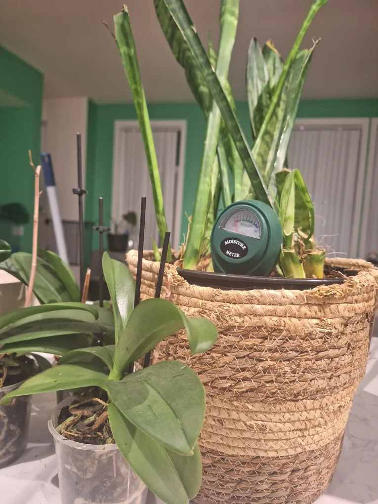 plants image indicator(3)