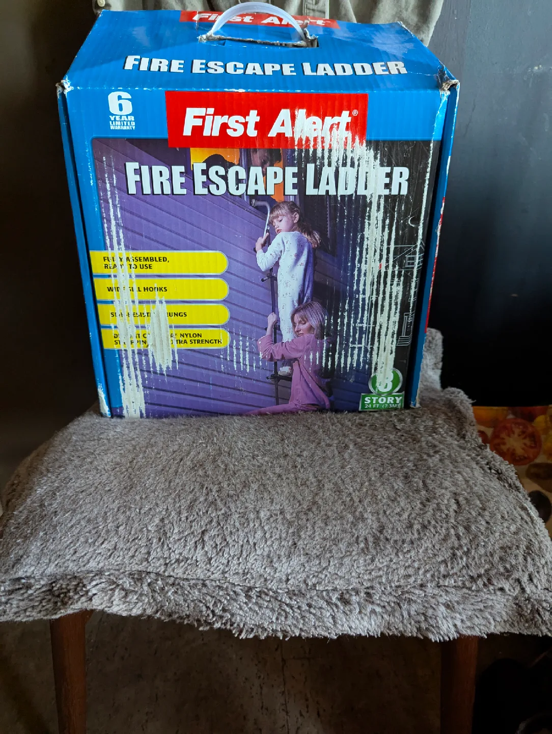 First Alert 3-Story Fire Escape Ladder (24 ft) thumbnail