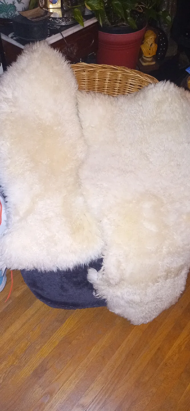 Sheepskin Rugs (Set of 2) image indicator(8)