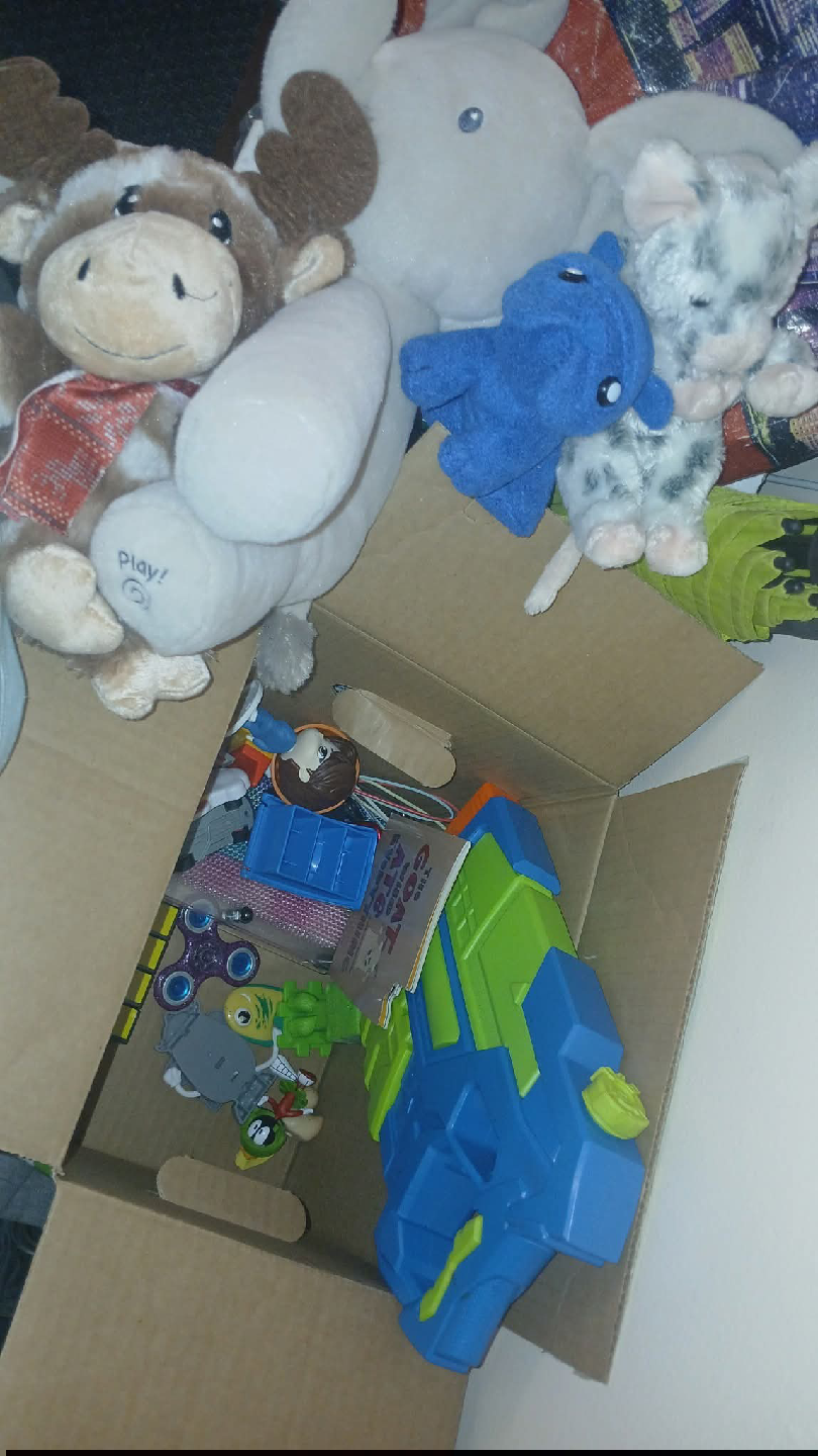 Box of Toys # 🥕
