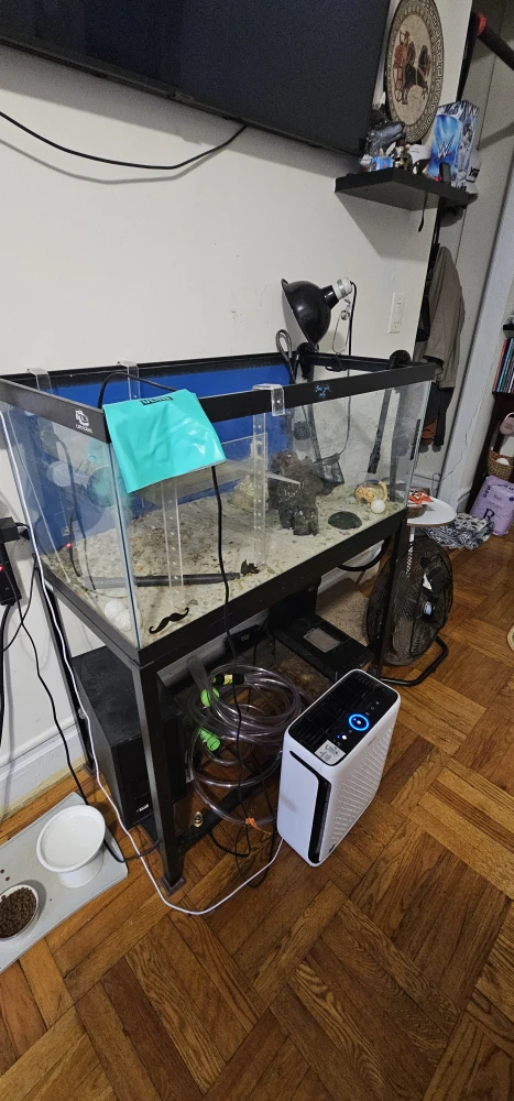 Aquarium with Stand