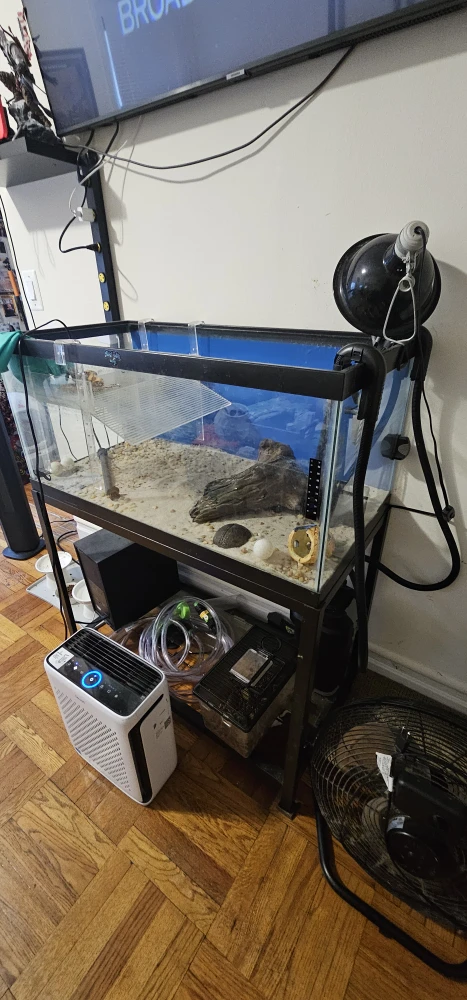 Aquarium with Stand - photo 2