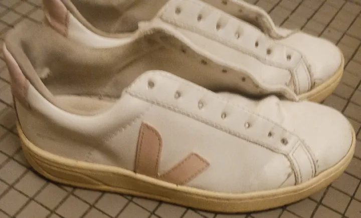 Veja Sneakers image indicator(2)