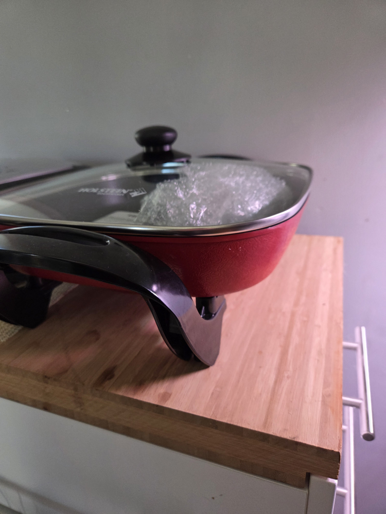 🥕 Holstein Housewares Electric Skillet - New in Box!