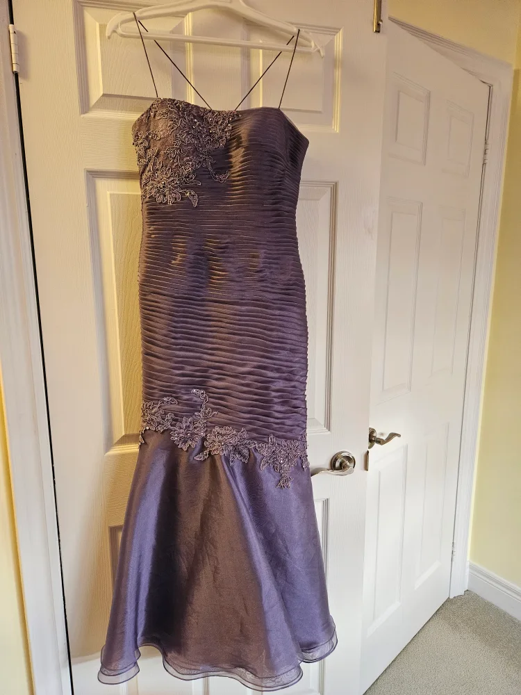 Purple Formal Dress with Shawl image indicator(2)