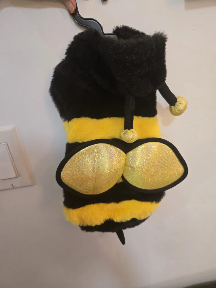 Bailey&Bella Bee and Pumpkin costumes for pets image indicator(3)
