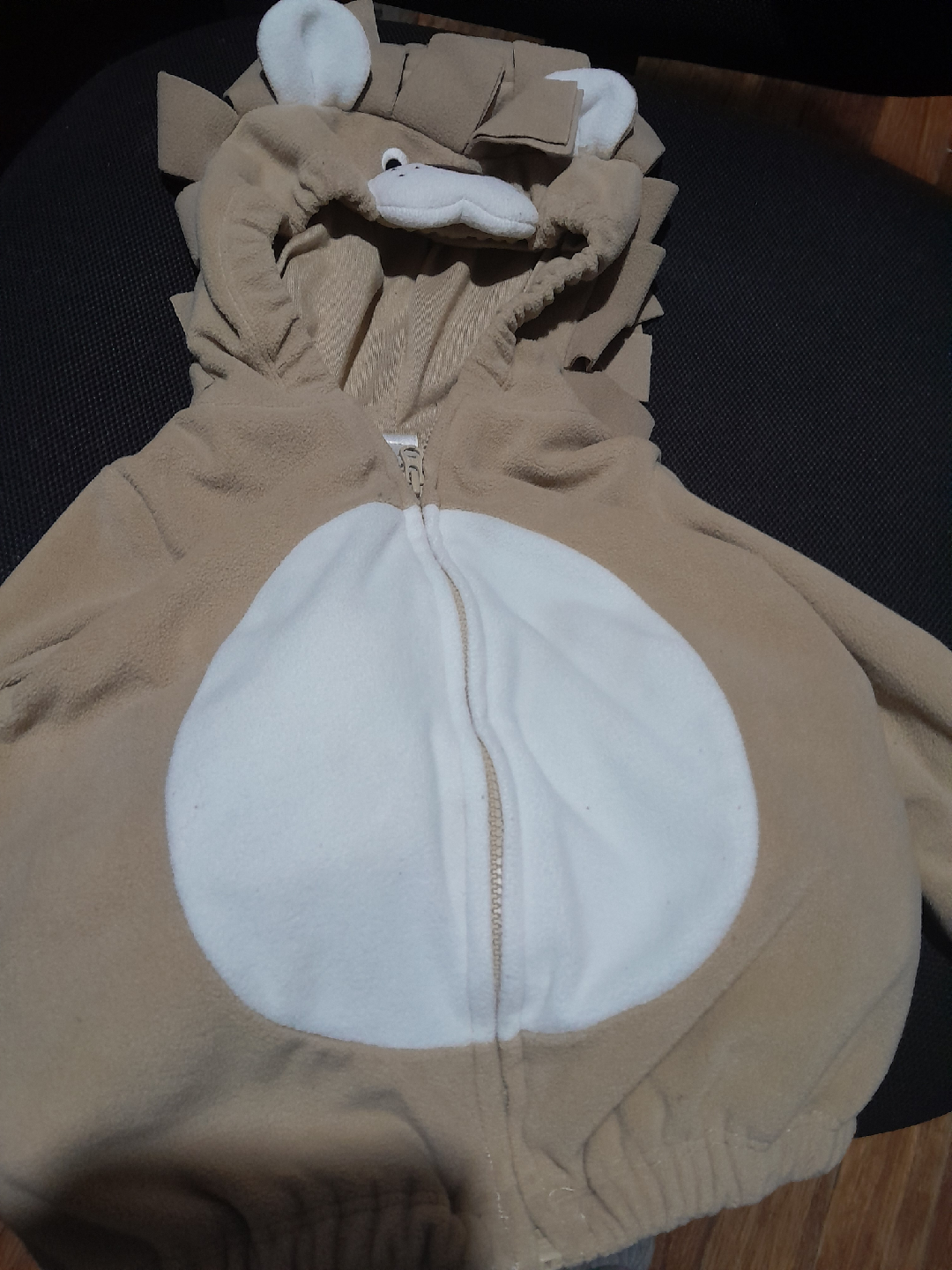 family lion costumes